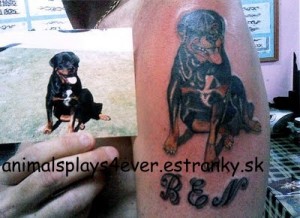 dog-tattoo-sketch-from-photo.jpg